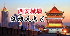欧美鸡巴日我逼中国陕西-西安城墙旅游风景区